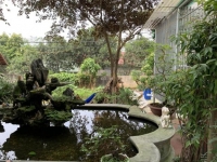 Lô nhà đất 942m2 - 8m mặt tiền - Không gian thư giãn sinh thái (2)